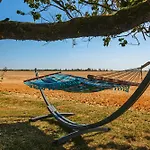 Le Petit Sableau * Marans (Charente-Maritime)
